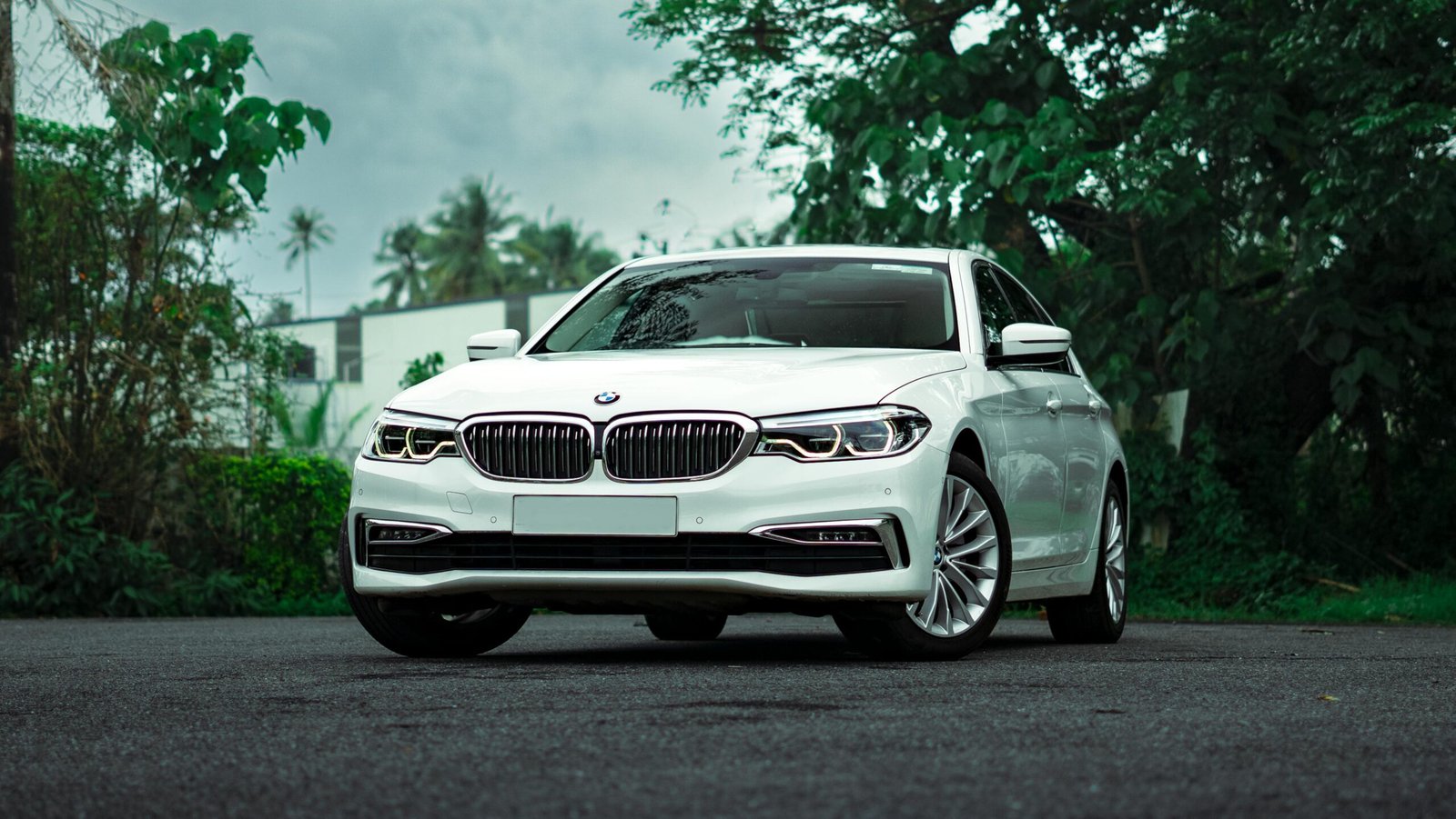White BMW 5 Series parked on a scenic outdoor road, showcasing luxury and elegance.